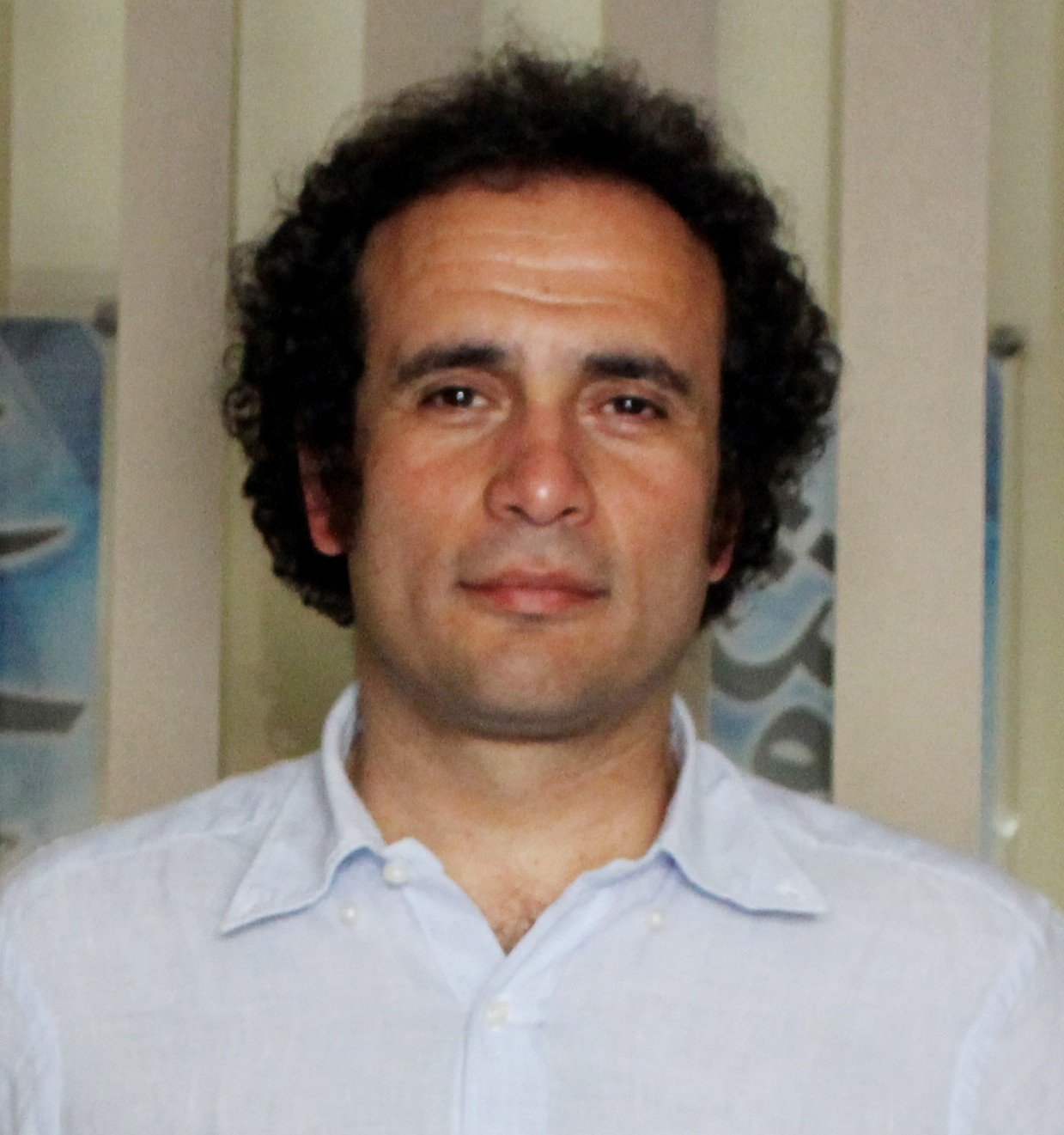  Dr. Amr Hamzawy 