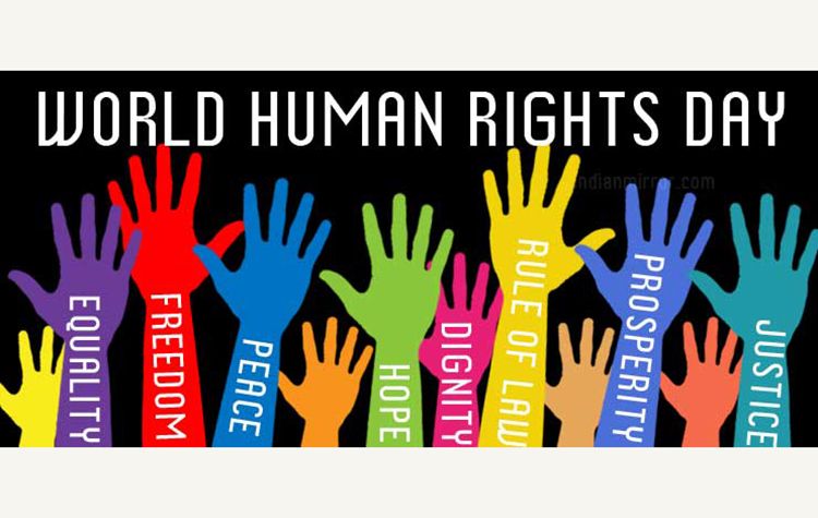 ١٠ ديسمبر اليوم العالمى لحقوق الإنسان 