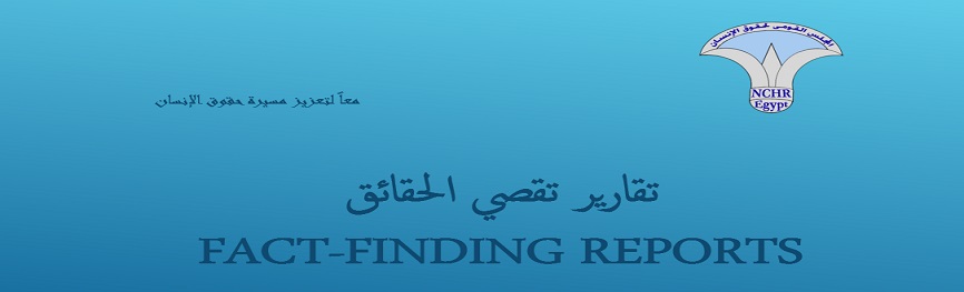  Fact-Finding Report 